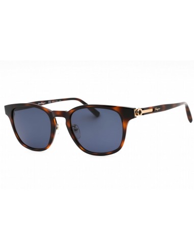 Salvatore Ferragamo SF1021SA Sunglasses de l' environnement