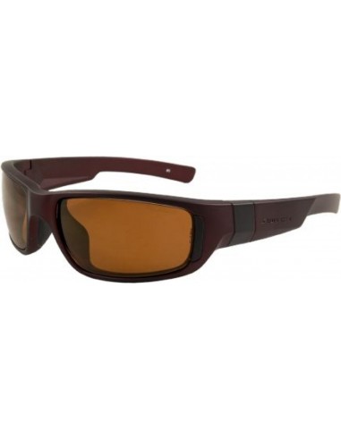 Rec Specs B7 Sunglasses sélection de produits