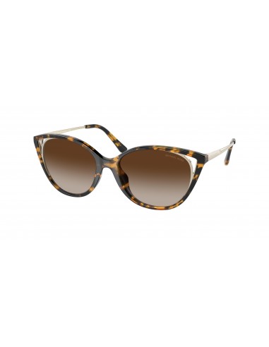 Michael Kors Alexandria 2152U Sunglasses Voir les baskets